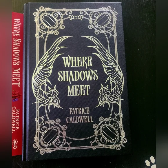Where Shadows Meet Book - Picture 2 of 6